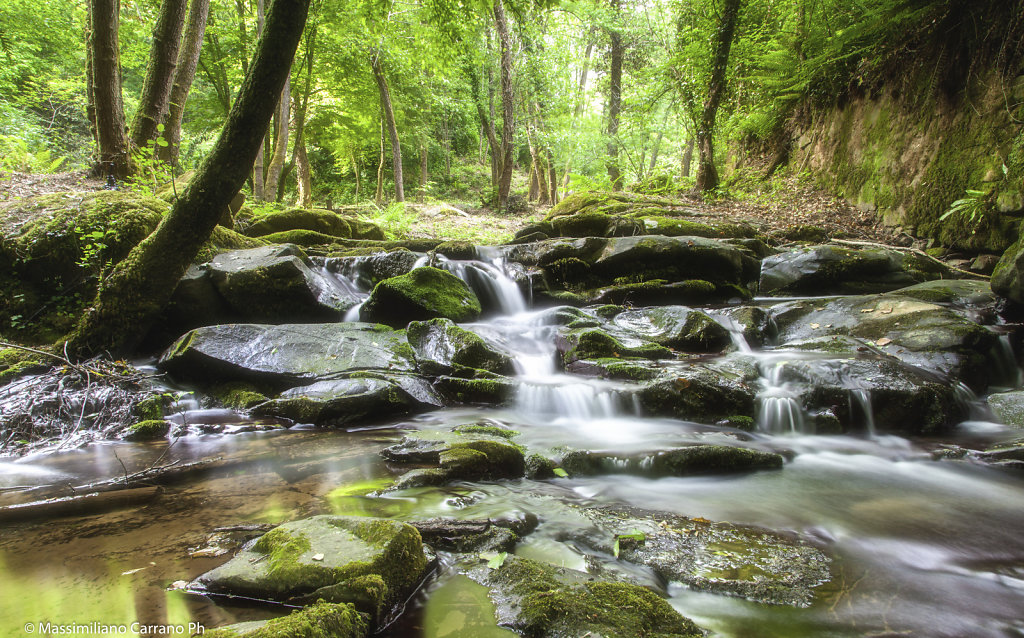 Piccole cascate nel bosco fatato